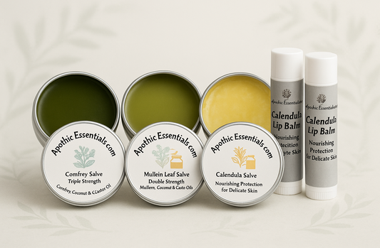 Salve and Lip Balm Set